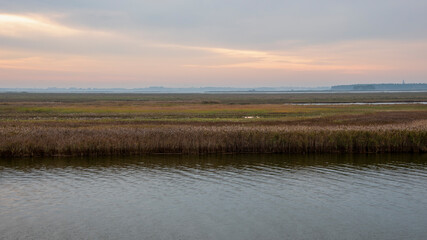 Deutschland, Mecklenburg-Vorpommern, Prerow, Darßer Ort, Nationalpark Vorpommersche Boddenlandschaft, Ostsee