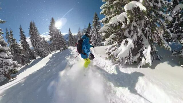 SELFIE, LENS FLARE: Unrecognizable male snowboarder cruises through a forest covered in fresh powder snow. Extreme winter athlete shredding pow while tree snowboarding in the picturesque Julian Alps.