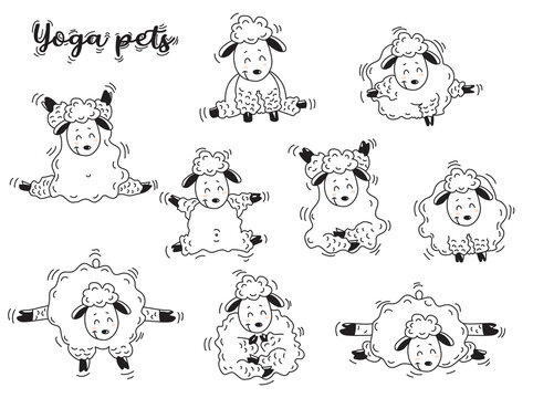 Yoga pets. Lovely sheep get up in an asana and go in for sports, gymnastics and meditate. Sheep yoga - set of linear decorative pictures. Vector illustration. Isolated on white. Outline, Line, contour