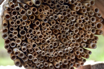 Kleines Insektenhotel in einem Plastikrohr
