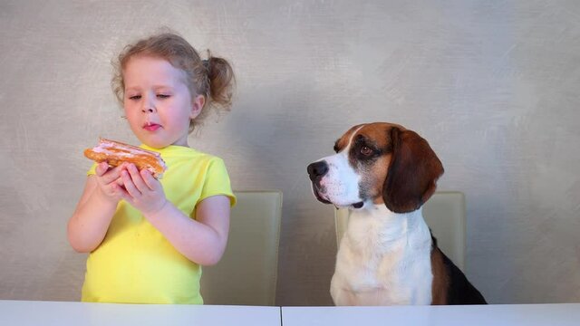 Caucasian blond three to four year old girl eating eclair cake next to a hungry beagle dog and treating him.