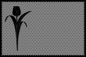 Czarny tulipan - obrazy, fototapety, plakaty