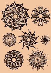 Floral graphic elements vector set. Flowers and plants hand drawn illustrations.