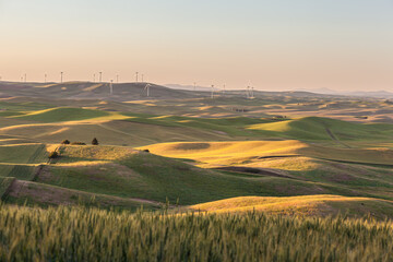 Wind Turbines farm in rolling wheat field in in Palouse region, Washington, USA.