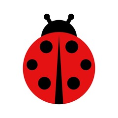 Ladybug icon isolated on white background. Vector illustration