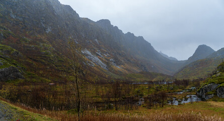 Innfjorden, wewnętrzna, północna część Øksfjorden w gminie Lødingen w Nordland