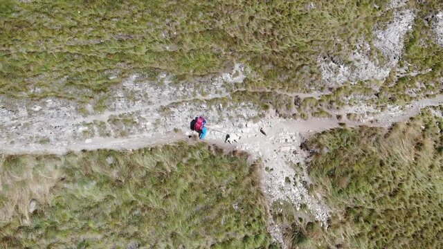 Dolomiti escursionista con il cane