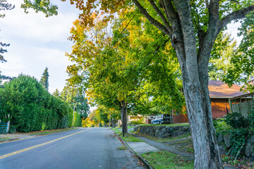 Burien Street In Fall