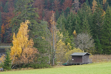 Herbstwald entlang des Erlaufsees bei Mariazell in Österreich