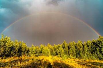 Rainbow over the forest . Summer landscape. Leningrad region .