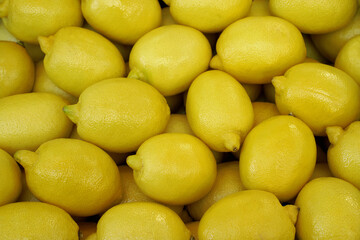  Fresh lemons harvest close up