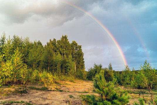 Rainbow over the forest . Summer landscape. Leningrad region .