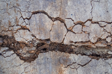 Texture of cracked sandy soil with a trace of the wheels of the car and with the content of small stones, branches and debris