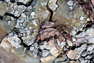 Natural stone used in construction and outdoor landscape design.