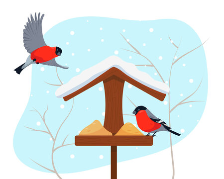 Bird feeder and two bullfinches in winter.