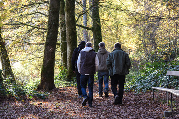 Fototapeta premium Belgique Wallonie automne nature foret groupe amis