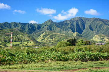 Fototapeta na wymiar Mountains view on the Northshore of Oahu