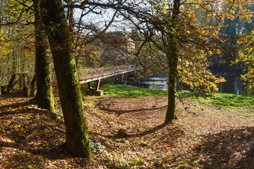 Belgique Wallonie automne nature foret Chiny semois