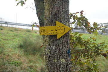 Flecha Camino de Santiago