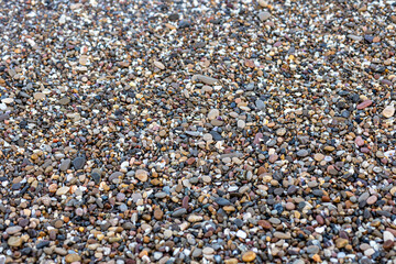 rocks pebbles and shells on the shore