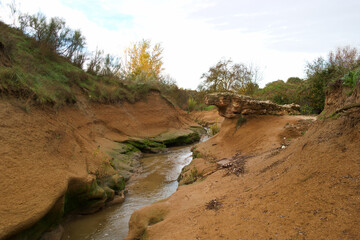 krajobraz rzeka drzewa liście jesień rośliny woda
