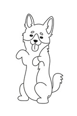Cartoon welsh corgi on white background.