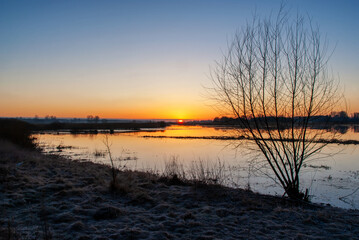Krajobraz Doliny Narwi, Podlasie, Polska
