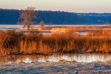 Krajobraz Doliny Narwi, Podlasie, Polska
