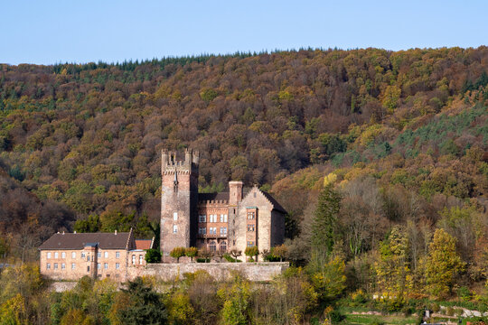 Castle in Neckarsteinach, Germany