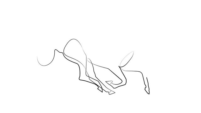 A horse drawn with one line. Black line animation on white background
