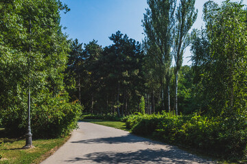 Obraz premium Scenery in Danube's Park in city centre, Novi Sad, Serbia