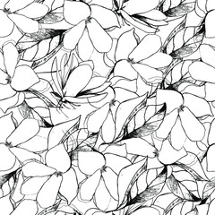 Seamless background with flower magnolia. Large buds of white magnolia. Coloring book for children and adults with delicate beautiful spring flowers, buds. Background for textiles, wallpaper, paper.