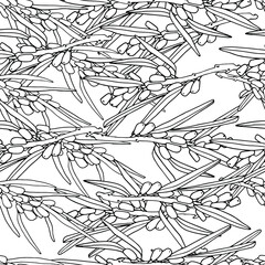 Sea buckthorn twigs pattern. Botanical medicinal plant. Sea buckthorn for tea, small yellow berries. Coloring book for kids and adults, wallpaper, banners, coloring pages, design paper, packaging. 