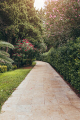 Tiled hiking trail through a tropical garden and lush shrubbery with flowers - south park