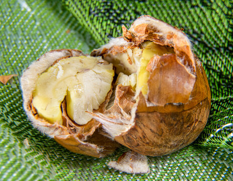 Casta&ntilde;a abierta.
Piel de una casta&ntilde;a rota para pelarla y degustarla o cocinarla.
