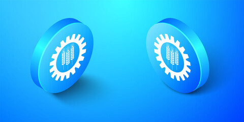 Isometric Wheat and gear icon isolated on blue background. Agriculture symbol with cereal grains and industrial gears. Industrial and agricultural. Blue circle button. Vector.