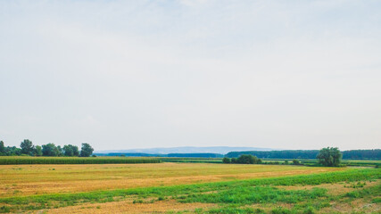 Countryside landscape near Novi Sad, Serbia