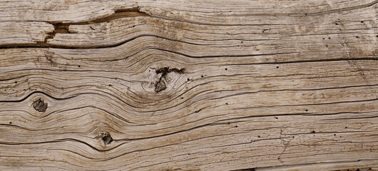 Plakat Dry cracked wood texture tree section. Heavy wooden natural beam 