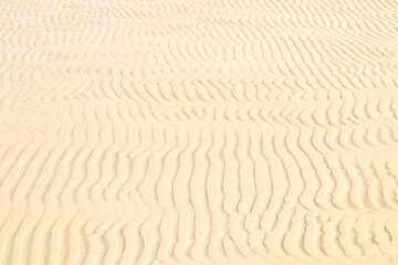 Light sand texture background. Summer and holiday concept. Sea shore with wavy sand close-up. Top view, copy space.