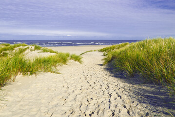 Stranddünen am Oststrand der Insel Baltrum