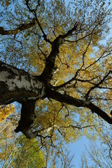 Zeitz Sachsen Anhalt