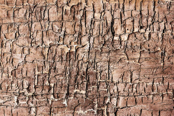 Cracked wood texture. Old peeling paint background. Grunge wooden wall background. Broken wood desk structure. Vintage board pattern design. Tree bark design. Vintage wood pattern.