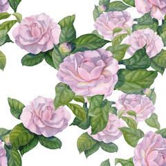 Camellia flowers. Branches with flowers, buds and leaves. Seamless background. Oriental style drawing. Graphic arts. Use printed materials, signs, objects, sites, maps, posters, postcards, packaging.