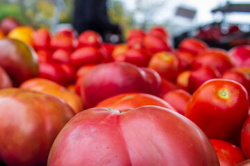 Fototapeta na wymiar Assorted organic tomatoes at a farmer's market