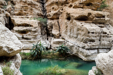 A narrow gorge and a beautiful green pool in Wadi Shab, Oman.