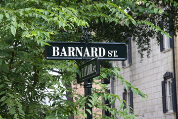 Fototapeta na wymiar barnard street sign trees georgia