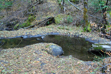 Lewis Creek in California