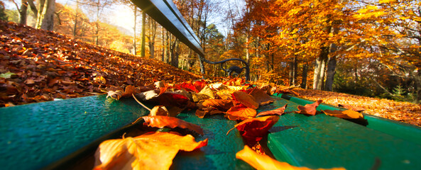 A park bench with the panoramic view of a lovely autumnal forst.