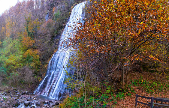 Orange leaves and waterfall