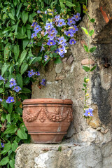 Grappe de fleurs violettes et jarre devant des ruines